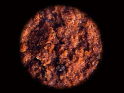 Liver Protein Chilli Fruit Bojli-2